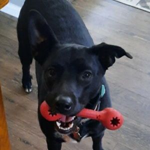 Meet your Posher, Derek